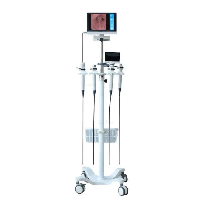 Medical Lab Diagnostics - กล้องตรวจภายในแบบโค้งงอ LHBF Por HD Video สำหรับตรวจทางจมูก