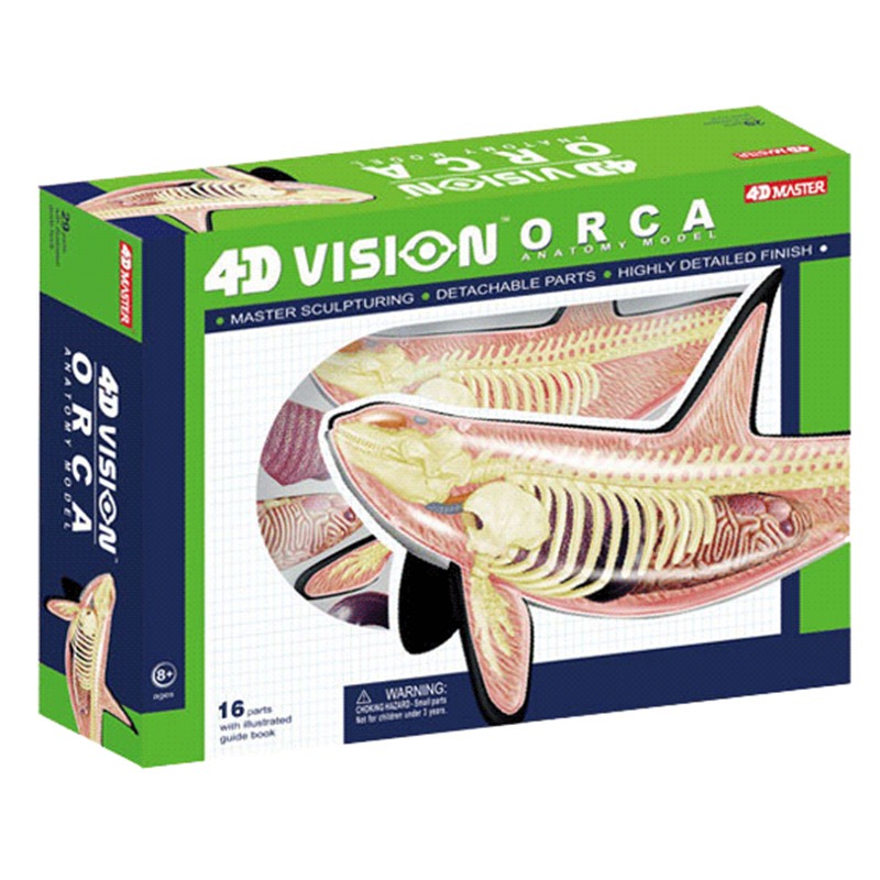 Medical Lab Technology - 4D Vision Orca Whale Skeleton Anatomy
