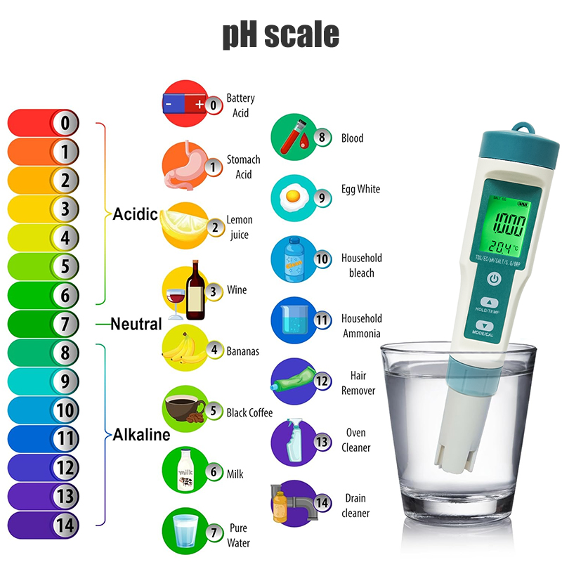 เครื่องวัดค่า PH ดิจิตอล WESTT - Ph Meter บทวิจารณ์และราคา