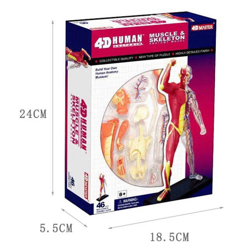 4d Master กล้ามเนื้อมนุษย์โครง - Medical Lab Technology บทวิจารณ์และราคา